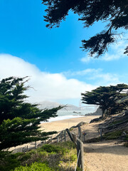 Golden Gate bridge in San Francisco partially covered in clouds and fog. Foggy day. Empty benches under the cypress tree. American iconic landmark.