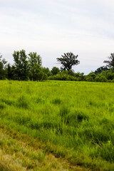 Views at Glacier Ridge Metro Park, Dublin, Ohio