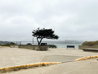 Golden Gate bridge in San Francisco partially covered in clouds and fog. Foggy day. Empty benches under the cypress tree. American iconic landmark.