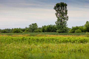 Views at Glacier Ridge Metro Park, Dublin, Ohio