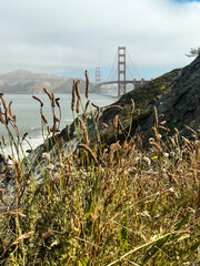 Coastal view of the Golden Gate bridge in San Francisco. American iconic landmark. Cliffs and grass frame the picture. Waves in the bay water. Light fog.