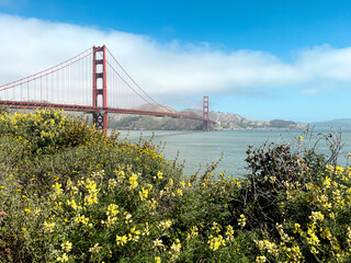 Coastal view of the Golden Gate bridge in San Francisco. American iconic landmark. Cliffs and grass frame the picture. Waves in the bay water. Light fog.