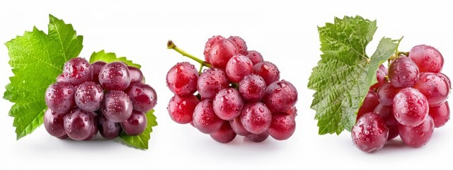  A cluster of grapes arranged on a green leafy branch, adorned with water droplets