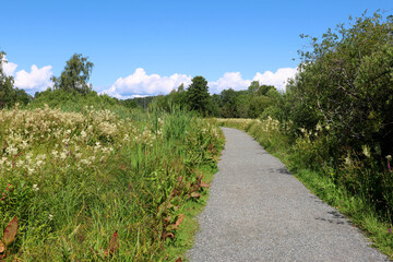 Walk path