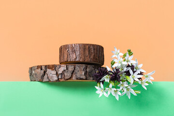 Concept scene stage showcase for new product, banner, promotion sale, cosmetic, presentation. Wood...