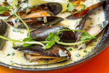 fish with lemon and herbs