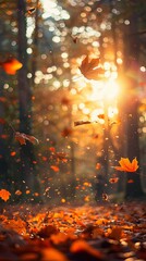 Warm Autumn Sunset in a Peaceful Forest