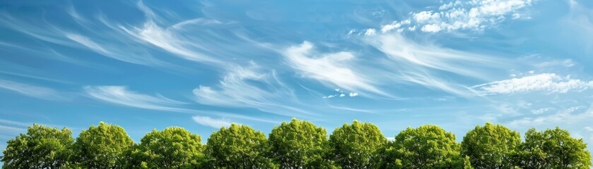 Blue sky with scattered clouds above a grove of bright green trees, serene and cheerful landscape