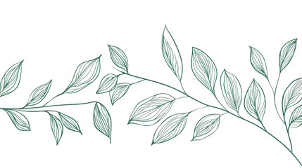 Fototapeta premium Green branches with leaves Hand drawn white background 
