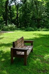 Wooden Bench in a Park