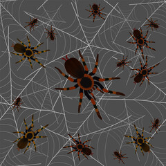 Bright spiders on the web.Vector pattern with spiders in the web on a colored background.
