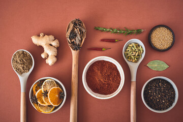 Healthy, spices and ingredients for meal, variety and wooden spoons on studio background. Empty, kitchen utensils and mockup space with seasoning, herbs and organic with fine dining and coriander