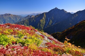 Fototapeta premium 紅葉の大日連峰から望む剱岳