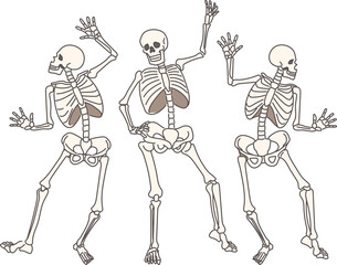 Dancing human skeletons risen from dead and celebrating halloween on october 31st. Funny skeletons made of skulls and bones make energetic movements, having fun at discos after resurrection