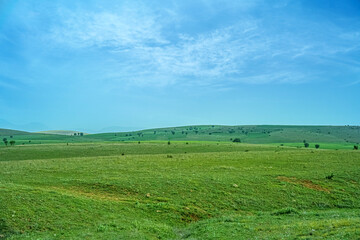 Landscape view of green grass field with clean sky background. Discover the beauty of earth.