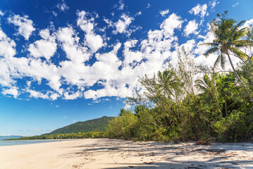Picturesque tropical coastal sandy beach in Cape Tribulation, Queensland, Australia. Cape Tribulation is within Daintree National Park on Coral Sea.