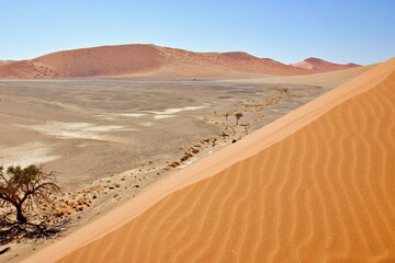 Namib Wüste bei Sossusvlei