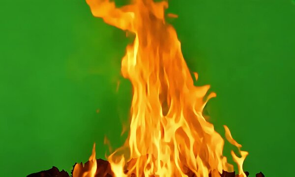 A large, intense fire burning with bright, orange flames with a chroma key green background (mov)