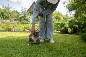 Fearful kitten at countryside for first time, feels uncomfortable in new village atmosphere. Woman...