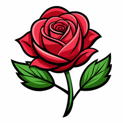 A red rose vector art isolated on a white background 