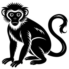  illustration of a cartoon of a monkey. 