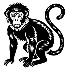  illustration of a cartoon of a monkey. 