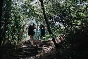 Obraz premium Hikers walking up a wooded trail surrounded by lush green trees on a sunny day, capturing the essence of adventure and nature exploration.