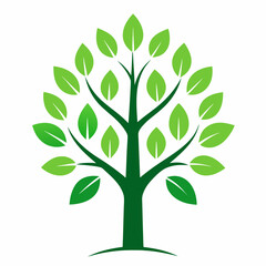 Birch tree with leaves vector logo