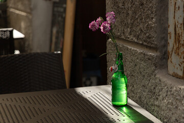 Goździki w butelce © Magdalena