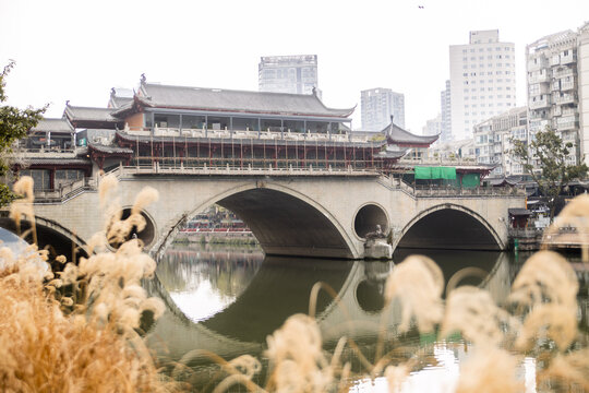 looking through grass towards the Anshun bridge with reflection on the river in downtown chengdu china