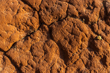 Dry cracked earth texture in Brazil