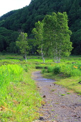 長野県のトレッキング