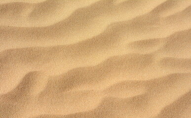 Desert Dune Texture Close Up. Sand texture. Desert surface detail.