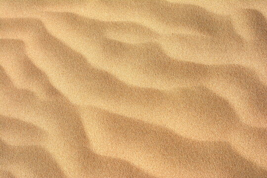 Desert Dune Texture Close Up. Sand texture. Desert surface detail.