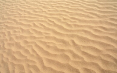 Desert Dune Texture Close Up. Sand texture. Desert surface detail.