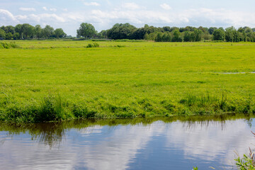 Obraz premium Summer landscape, Typical Dutch polder with flat and low land, Green meadow with wild flowers, Small canal or ditch and grass field, Ouderkerk aan de Amstel, Amsterdam, Countryside of the Netherlands.