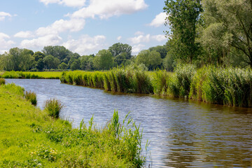 Summer landscape, Typical Dutch polder with flat and low land, Green meadow with wild flowers, Small canal or ditch and grass field, Ouderkerk aan de Amstel, Amsterdam, Countryside of the Netherlands.