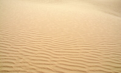 Desert Dune Texture Close Up. Sand texture. Desert surface detail.