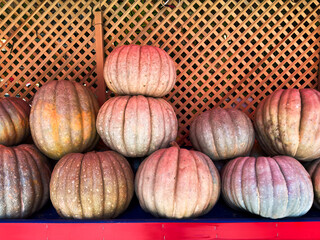 Pumpkin on a Grocery Store