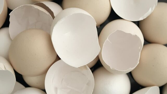 Close up on eggshells rotating. Many broken egg shells on black background. Macro view of cracked egg shells.