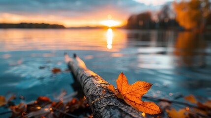 This photograph captures a single leaf on a log in the water during an autumn sunset, illustrating the beauty and tranquility of nature during the fall season.