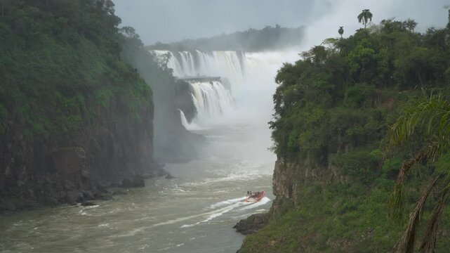 humedad en selva misionera por las cataratas.