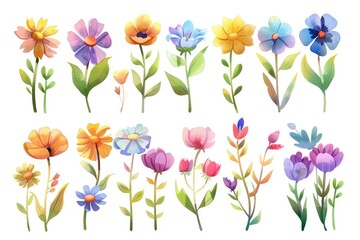 A bright and cheerful bouquet of colorful flowers on a clean white background