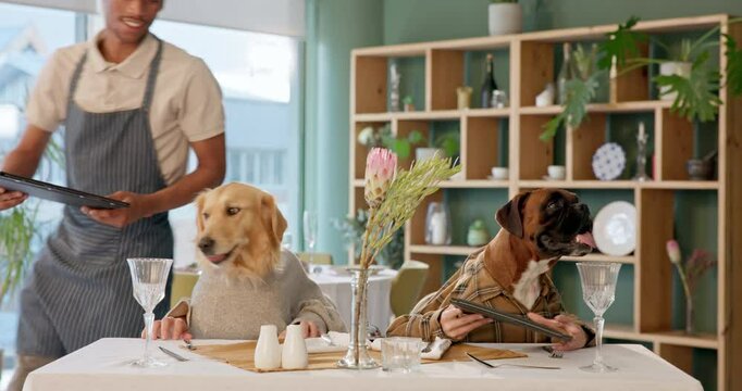 Restaurant, menu and dogs sitting for dinner, lunch and national pet month for celebration. Fine dining, animal couple and waiter for hospitality, serving or pet service with food choice document - Powered by Adobe