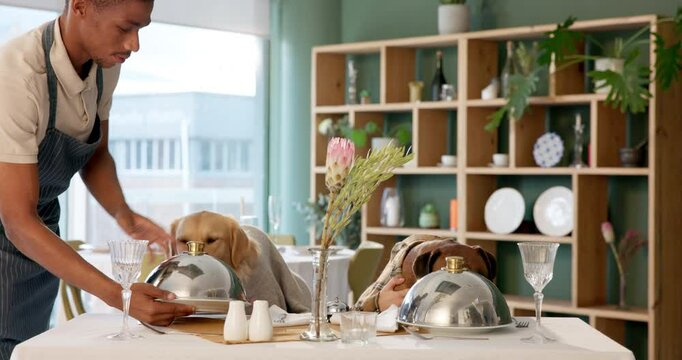 Restaurant, hungry and dogs with food for eating, lunch and national pet month for celebration. Dinner, animal couple and private chef for hospitality, serving and pet service with fine dining - Powered by Adobe