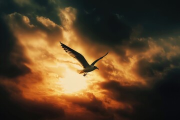 Obraz premium A bird soars through a cloudy sky with the sun shining brightly in the background