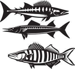 A collection of black and white vector illustrations of barracuda fish
