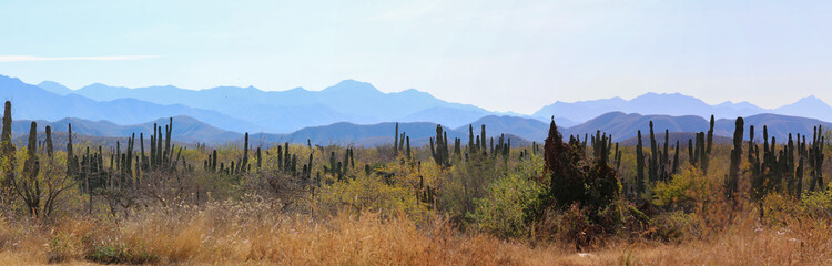 Baja California Mexico Desert Mountain Panorama