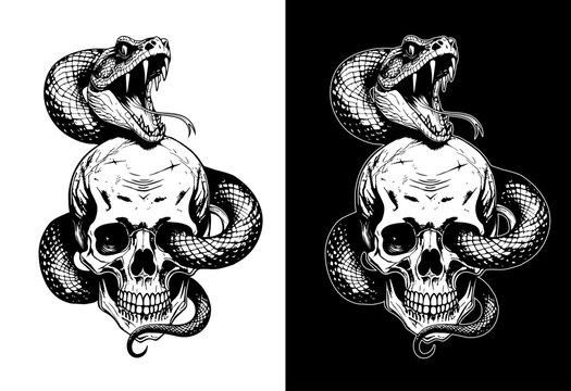 Snake and Skull black & white vector graphic