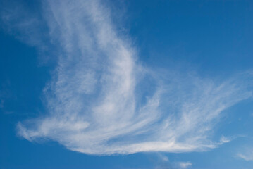 the gentle cloud is shaped like a bird